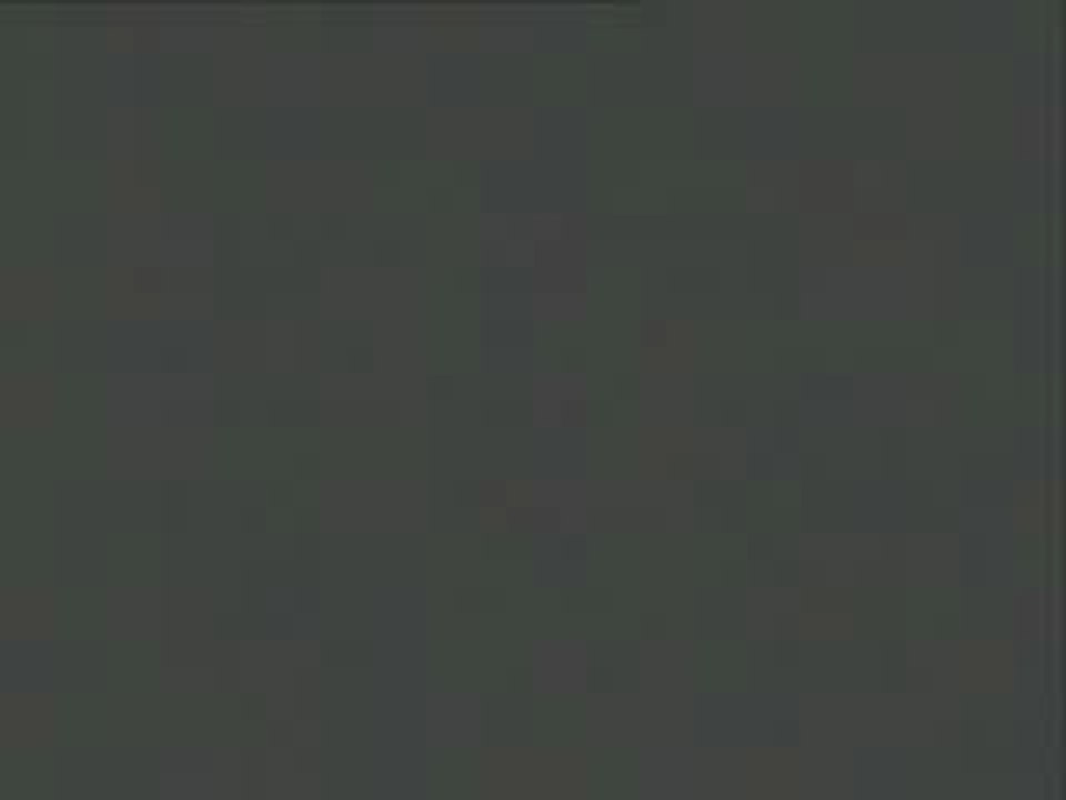 Foesum Lil Somethin Somethin