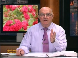 Sembrando esperanza - Violencia de Genero - Raquel Echavoyen, Marcos Zapata, Eva Márquez - 29.11.2014