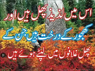 Surah rehman with urdu translation (HD)