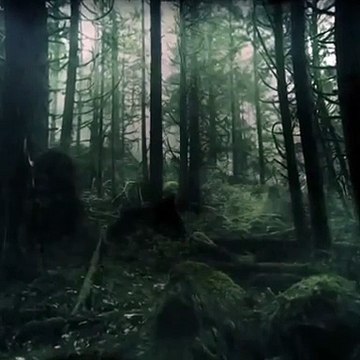 DAWN OF THE PLANET OF THE APES Instagram Trailer