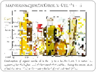 Top Advantages Of Organic Canola Oil