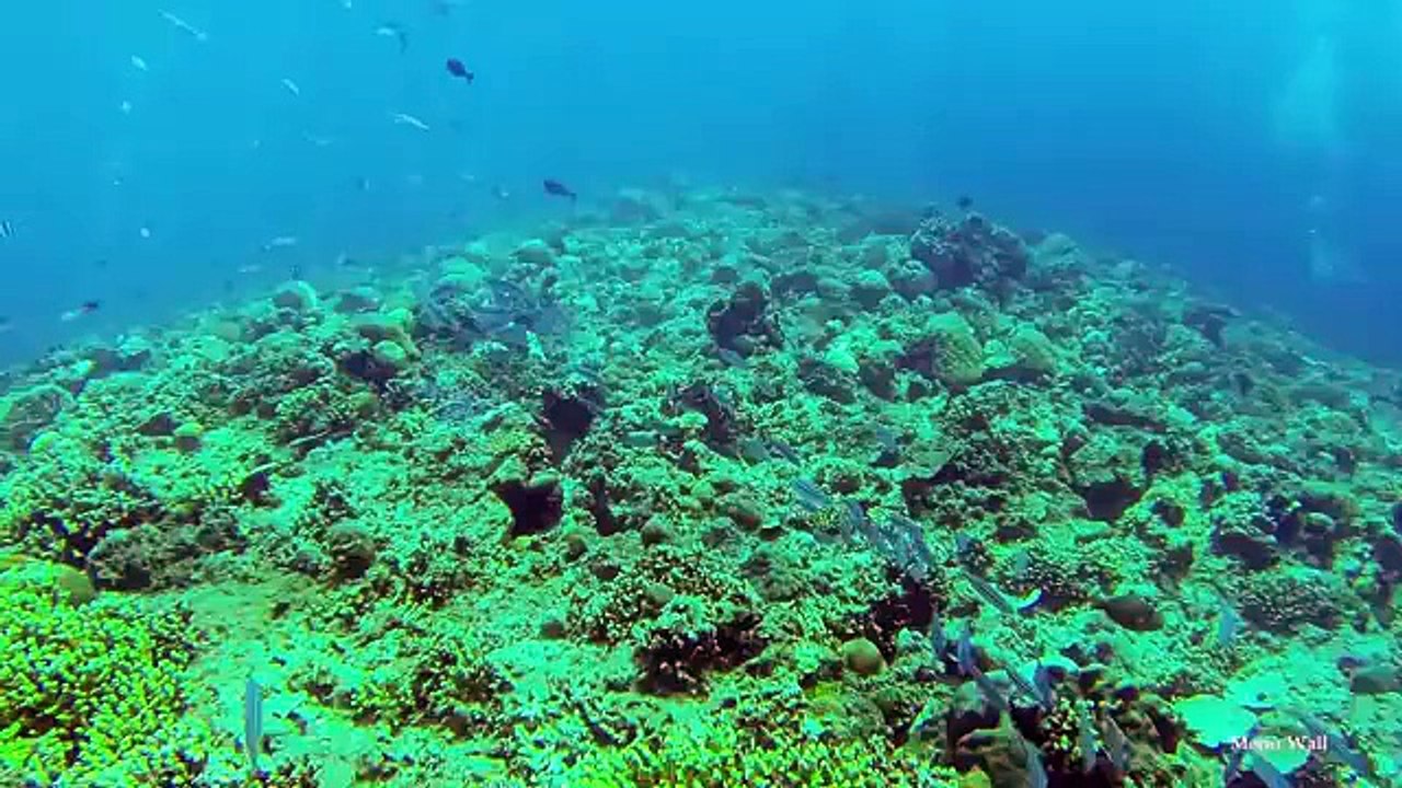 Paket Wisata Lombok , Pulau Lombok