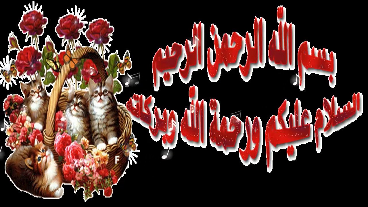 A9wel wa 7ikam