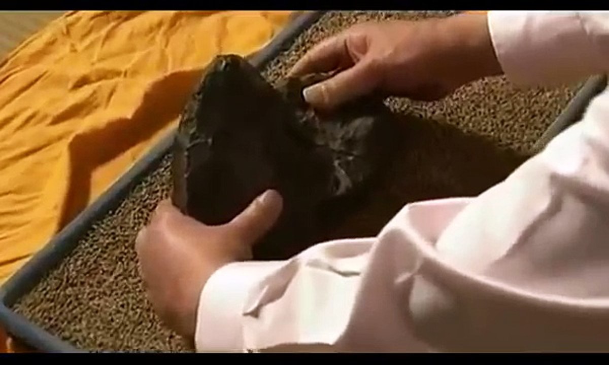 [Ep.61] BEGIN Japanology - Rock and Stone