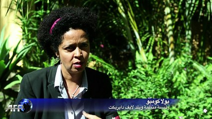 حديقة نيروبي الوطنية تختنق بسبب تمدد العمران المتسارع