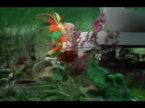 Muppet Show - Elton John Crocodile Rock