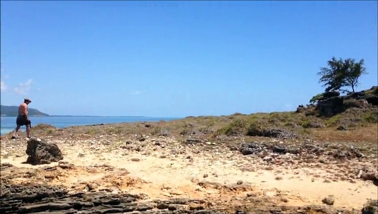 Ile au phare