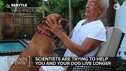 This Drug Could Make Your Pet Live Longer (And You, Too)