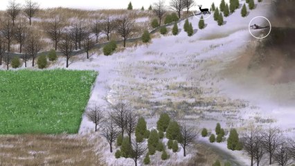 Tip of the Week: Stalk Open Country Bucks