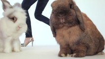 On Set with Vogue - Twinkle Toes: The Chicest Party Shoes Are Only a Bunny Hop Away