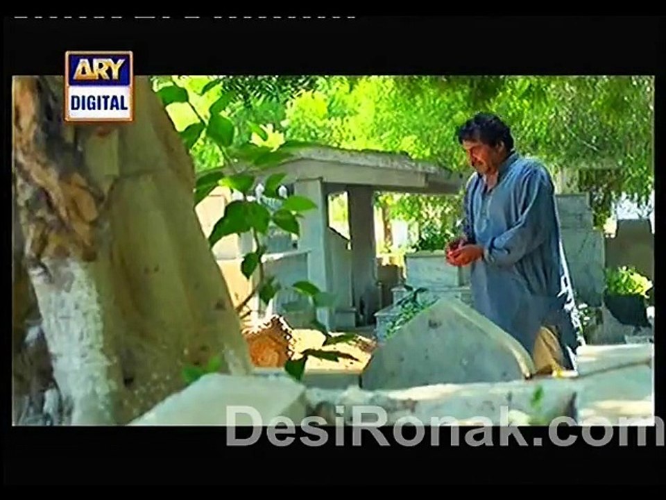 too pa 2 ep 179