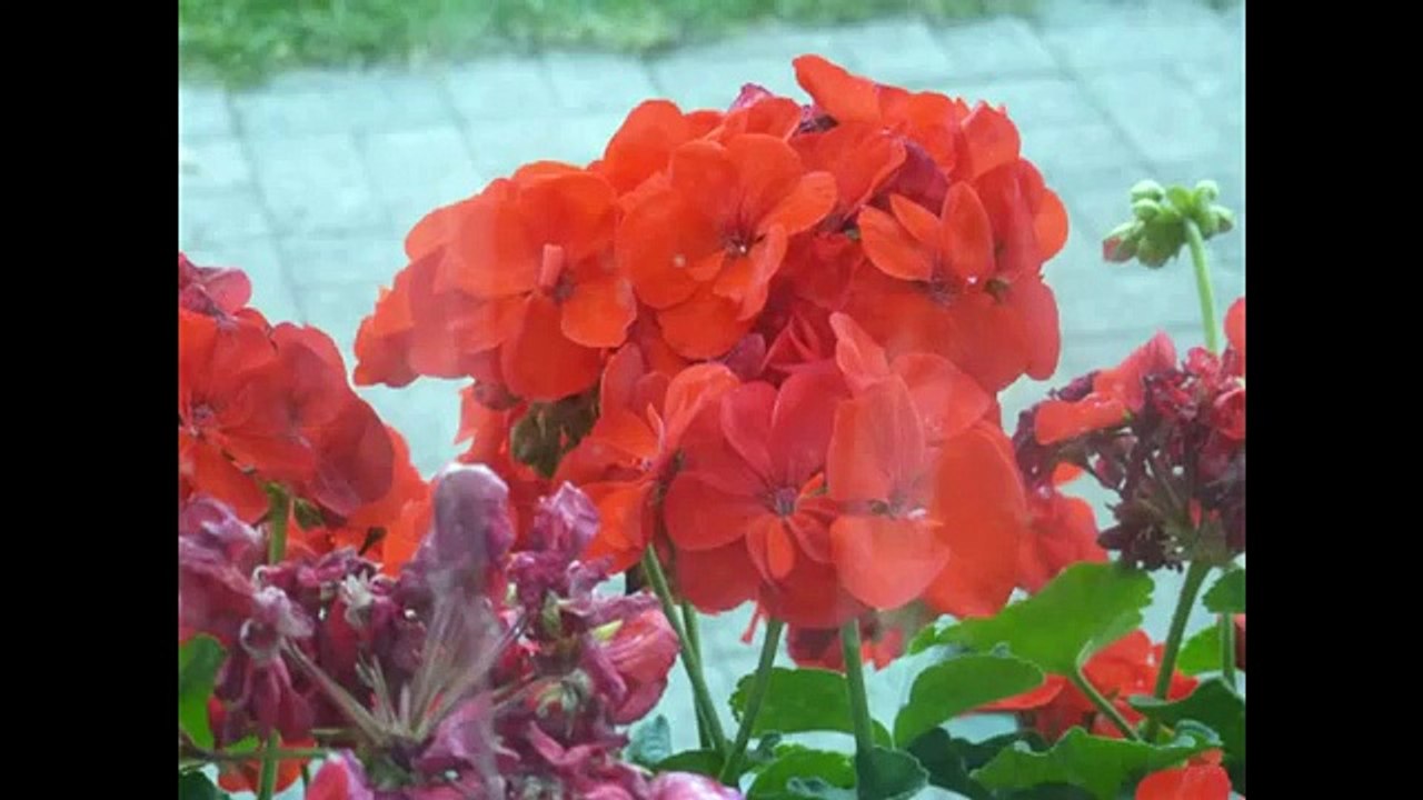 ANDRE BONHOMME : "L'univers des sons" (paroles et musique : André Bonhomme)