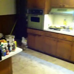 This will make you think?