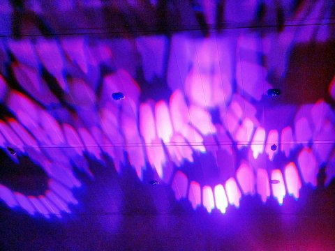 ANTOINE HENAUT : De bonne famille (Mons, Mons-Expo, 2011)