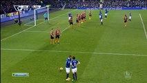 Everton - Hull City, Bešić, Information