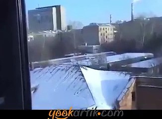 Kayak yapan karga. Bu kargalar çok akıllı :)