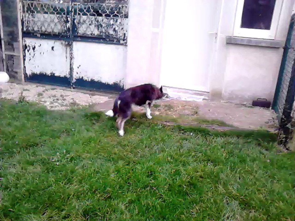 Charlie