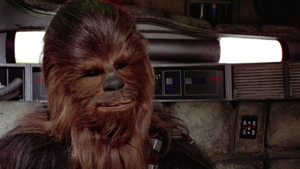 #WCW (WOOKIE Crush Wednesday): Chewbacca
