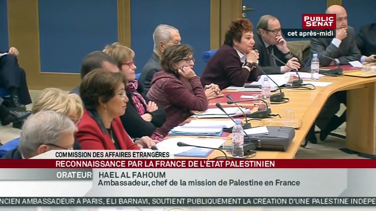 Auditions dans le cadre de la PPR sur la reconnaissance par la France d'un État palestinien - Audition