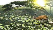 Wild Animals - Wolverine Animal Documentary  - Full length Documentaries