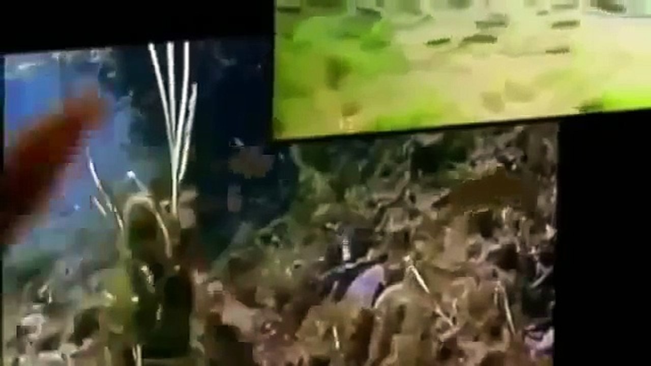 Full Documentaries Grizzly Bears Discovery Channel Animals, National Geographic Wild HQ1