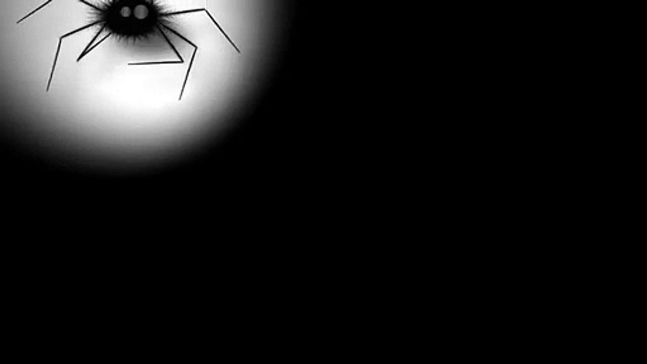 Funny Spider | VideoHive Templates | After Effects Project Files