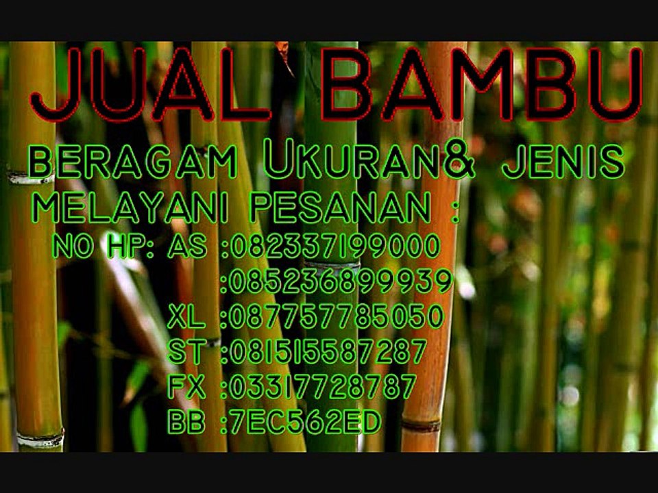 Jual bambu jember