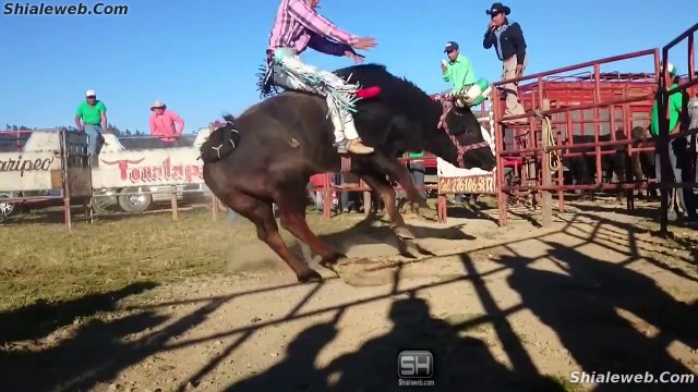 Super Jaripeo Extremo HD Valientes Jinetes Montando Toros Salvajes Del Rancho La Espuela De Tonalapa Mexico 2014