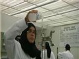 ضعف البحث العلمي وهجرة العقول العربية