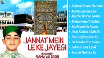 Jannat Mein Le Ke Jayegi - Farhan Ali Qadri Naats - Ramzan Naat 2014 Naat Collection