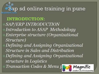 sap sd online training in india,canada,usa