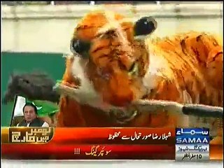 Siasatdano ka chirrya ghar, Kahin Billa Tu Kahin Bheriya - Video Dailymotion