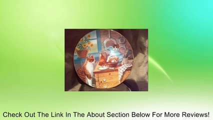 Table Manners Collector Plate By Gre Gerardi From Country Kitties Collection Review