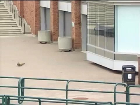 svfbcv토­토­사­이­트­추­천­안­전­놀­이­터 ღⓛⓞⓥⓔღ☆ＤＢＧ４５６ㆍＣＯＭ★ღⓛⓞⓥⓔღ 【인­터­넷­토­토­사­이­트 】토­토­사­이­트­추­천­인­터­넷­토­토­사­이­트