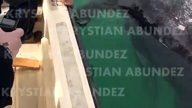 Un spécimen exceptionnel de baleines siamoises découvert au Mexique