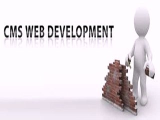 Perk Up Your Website with CMS Development