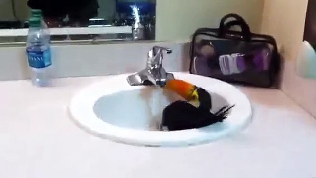 dfbv토­토­사­이­트­추­천­안­전­놀­이­터 ღⓛⓞⓥⓔღ☆ＤＢＧ４５６ㆍＣＯＭ★ღⓛⓞⓥⓔღ 【인­터­넷­토­토­사­이­트 】토­토­사­이­트­추­천­인­터­넷­토­토­사­이­트