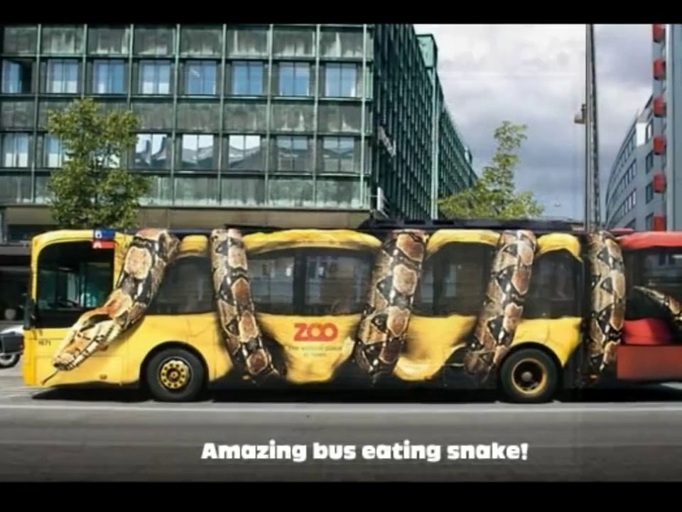 Top 50 Optical Illusions