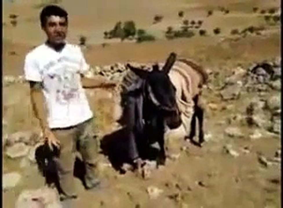 Arsız Bela Parçası ve Kaçan Eşek