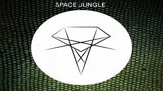 [ DOWNLOAD MP3 ] Eva Shaw - Space Jungle (Showtek Edit)