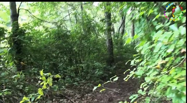 Salih Yılmaz ♫ ♥ ♪ Yaylanın Çimenine