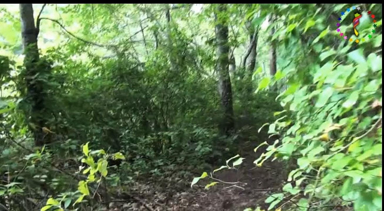 Salih Yılmaz  ♫ ♥ ♪ Yaylanın Çimenine