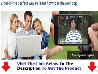 The Online Dog Trainer Facts Bonus + Discount
