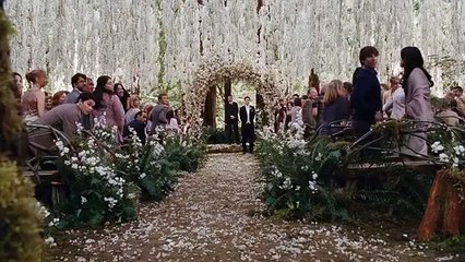 Twilight 4 TV Spot # 1