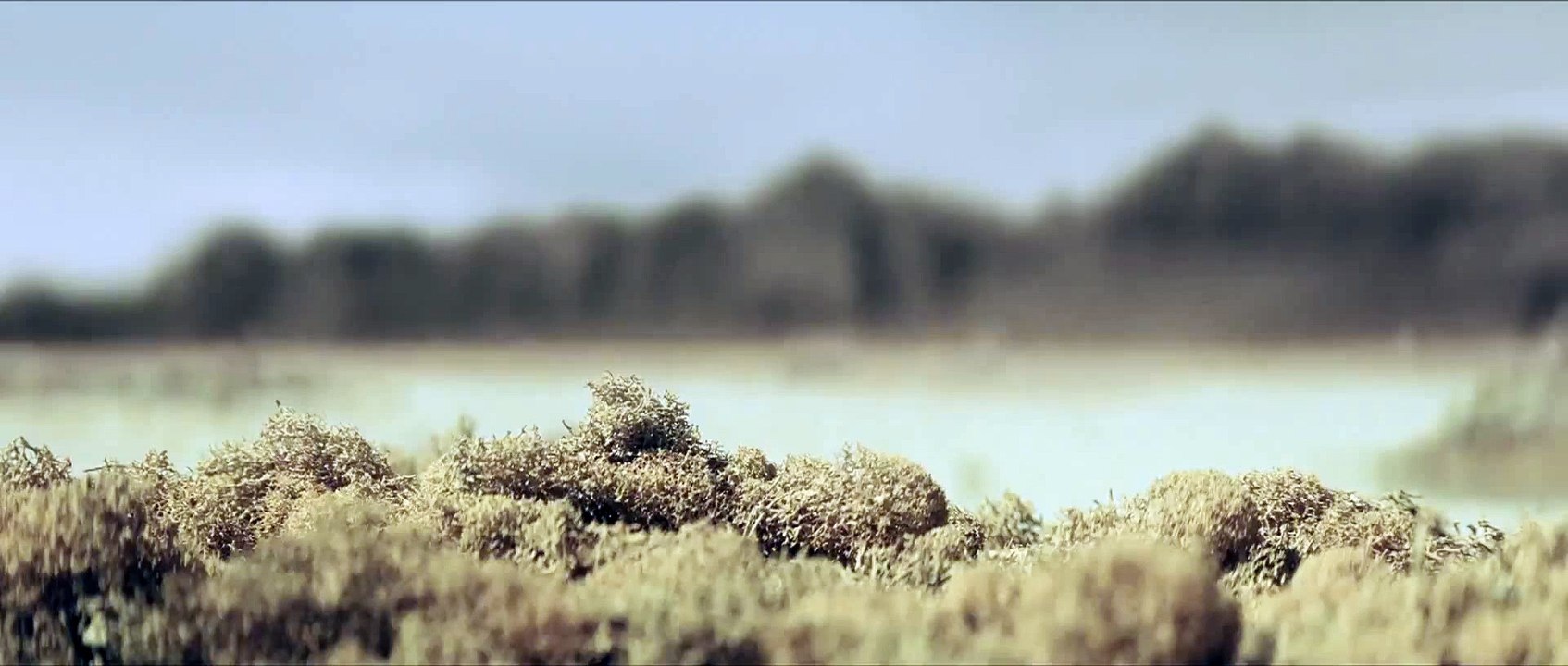 John Carter TV Spot # 1