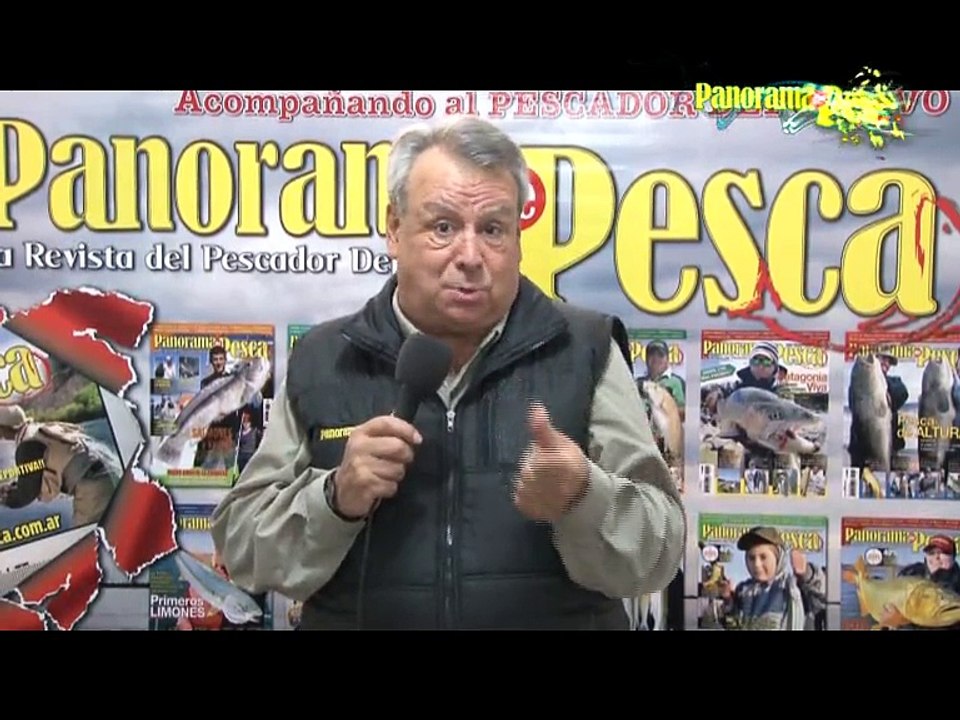 Panorama TV 207