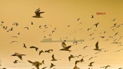 Mersin Sahillerinde Görsel Şöleni