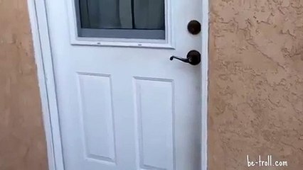 Un chien super heureux de revoir son maître, vous allez pleurer