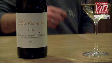 Vin bio : Coup de cœur pour un sauvignon du Languedoc