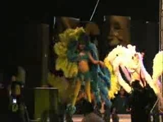 Samba Menina - Carnaval 20007